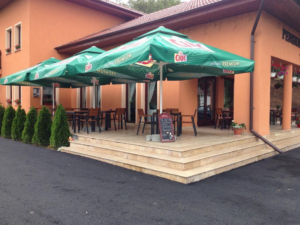 Pensiunea Crimar Ilteu Exterior foto